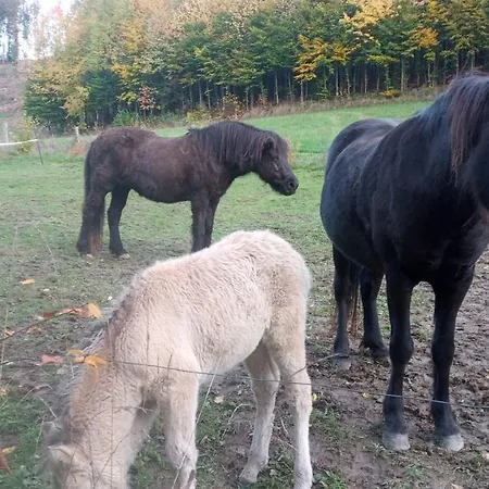 شقة Seeblick-ferienwohnung Im 