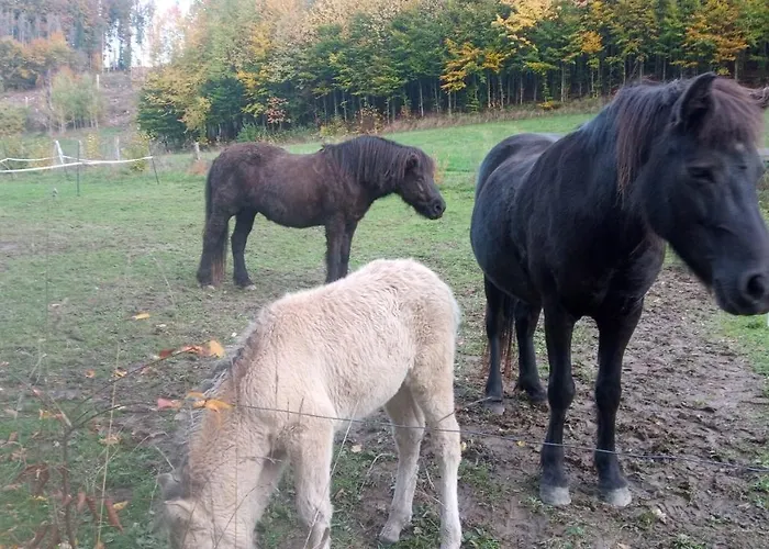 Appartement Seeblick-ferienwohnung Im 